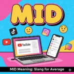mid meaning slang