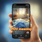 pov meaning