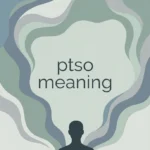 ptso meaning