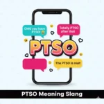 ptso meaning slang
