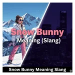 snow bunny meaning slang