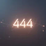 444 mean