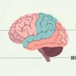 what does cognitive mean